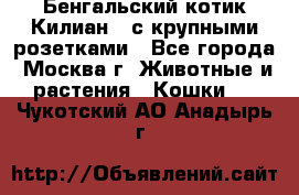 Бенгальский котик Килиан , с крупными розетками - Все города, Москва г. Животные и растения » Кошки   . Чукотский АО,Анадырь г.